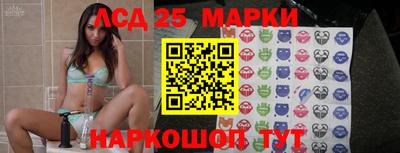 шишки Аргун