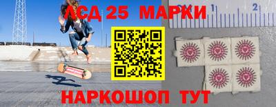 шишки Аргун