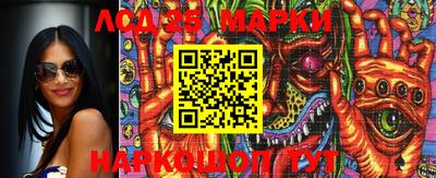 шишки Аргун