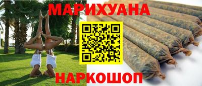 шишки Аргун