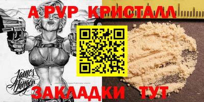 шишки Аргун