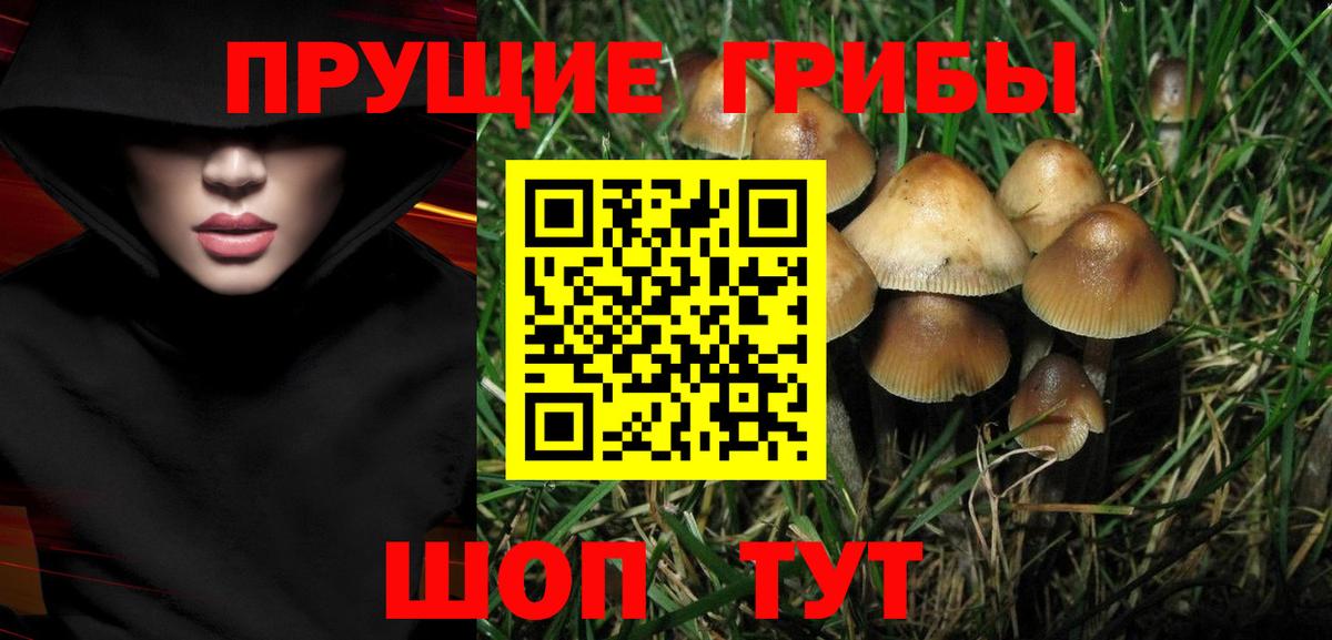 Липецк  Галлюциногенные грибы ЛСД  Вход с VPN  Галлюциногенные грибы ЛСД 
